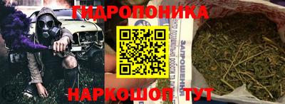 дурь Пугачёв